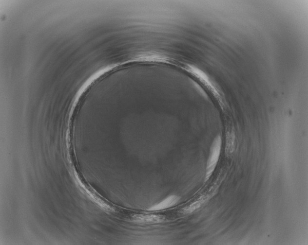 X0000081611331200702051344