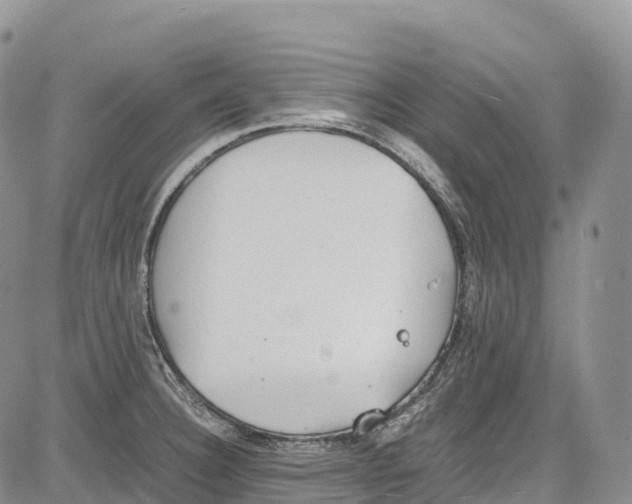 X0000081611332200702051344