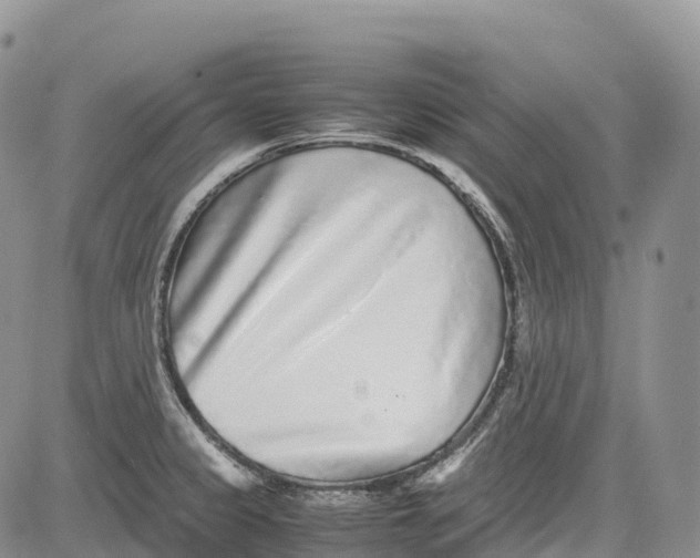 X0000081611333200702051345