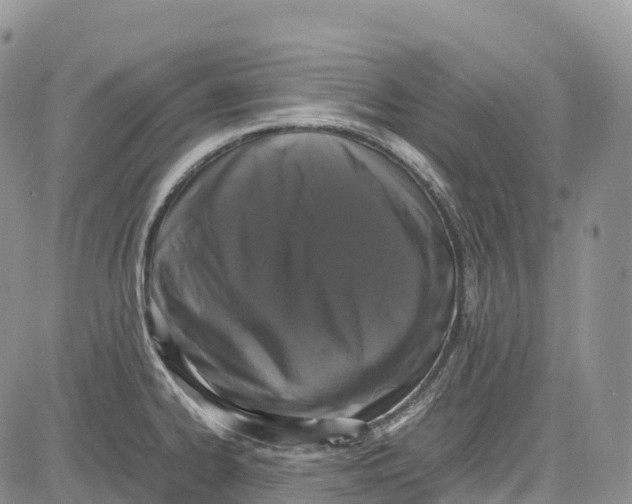 X0000081611334200702051345