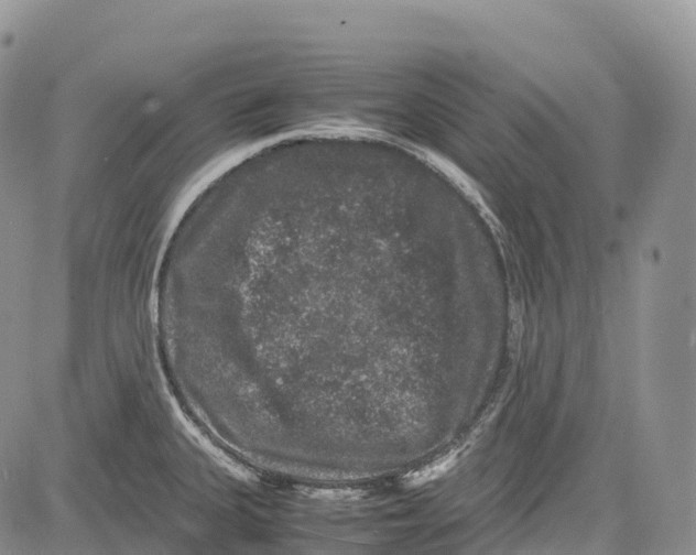 X0000081611335200702051345