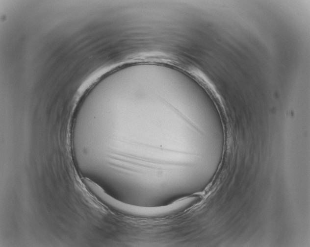 X0000081611336200702051345