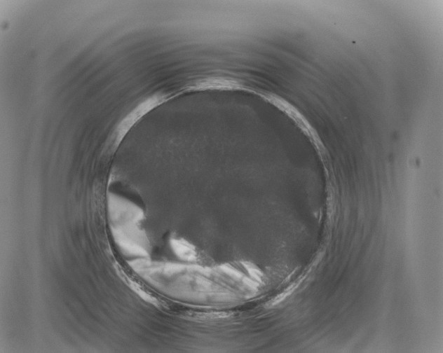 X0000081611337200702051345