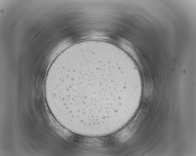 X0000081611338200702051345