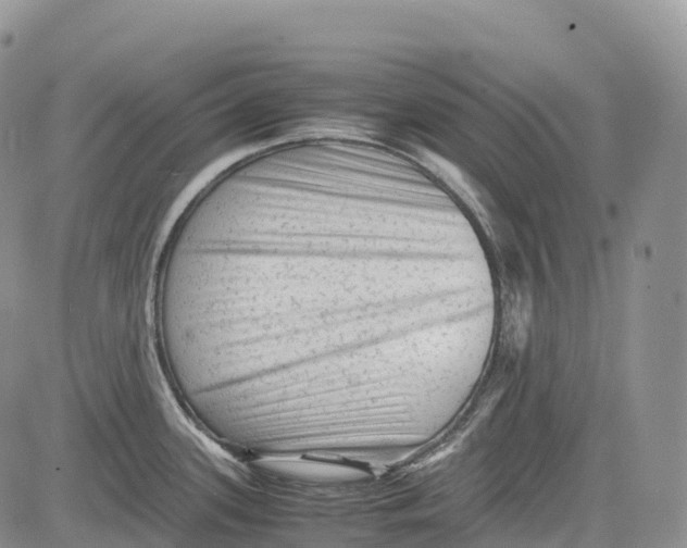 X0000081611339200702051345