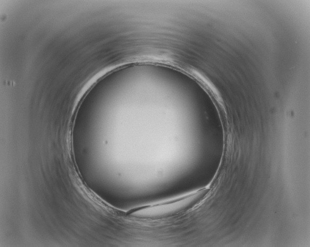 X0000081611340200702051345