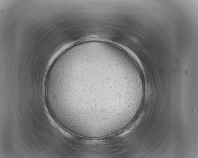 X0000081611341200702051345