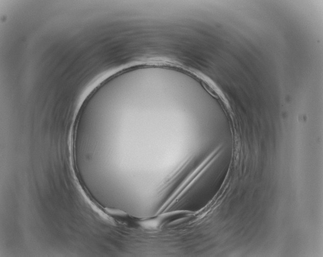 X0000081611343200702051345