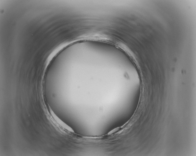 X0000081611344200702051345