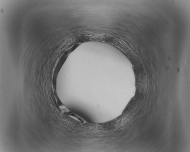 X0000081611345200702051344