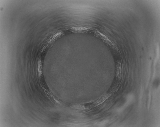 X0000081611346200702051344