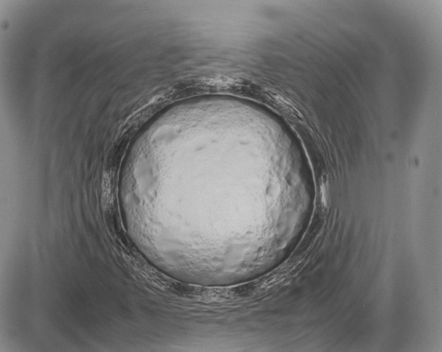 X0000081611347200702051344