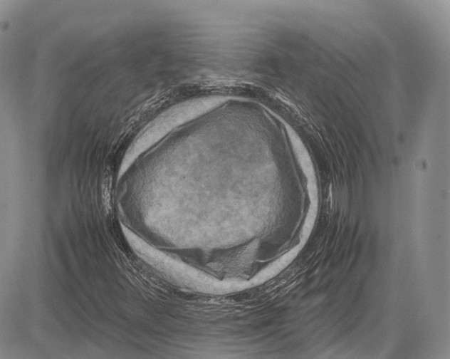 X0000081611348200702051344