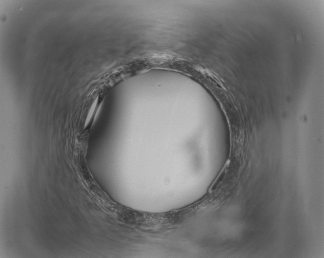 X0000081611349200702051344