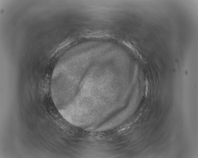 X0000081611350200702051344