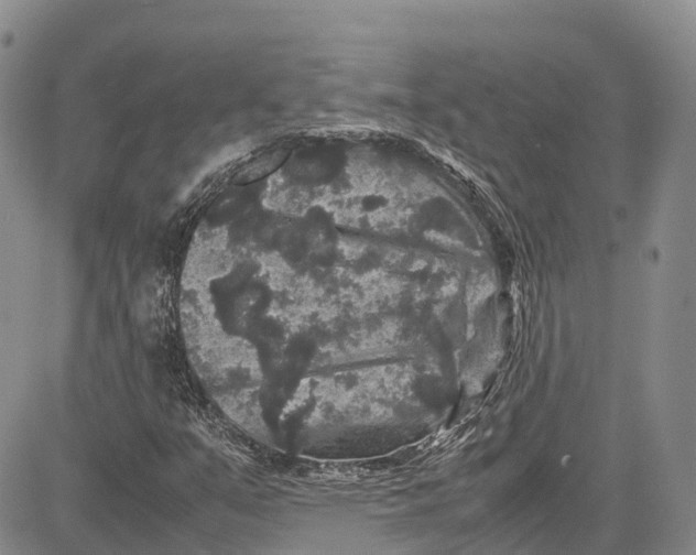 X0000081611351200702051344