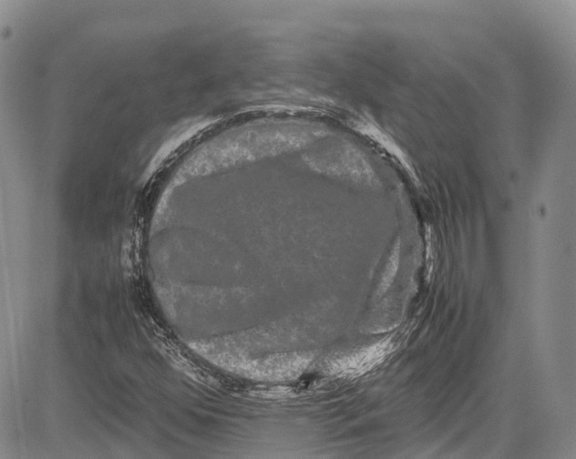 X0000081611352200702051344