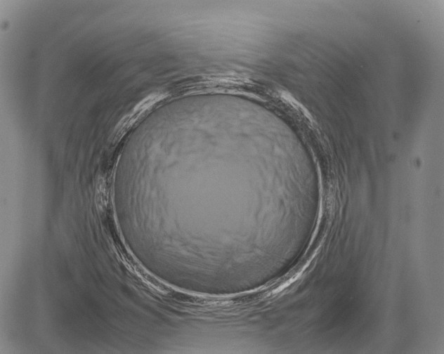 X0000081611353200702051344