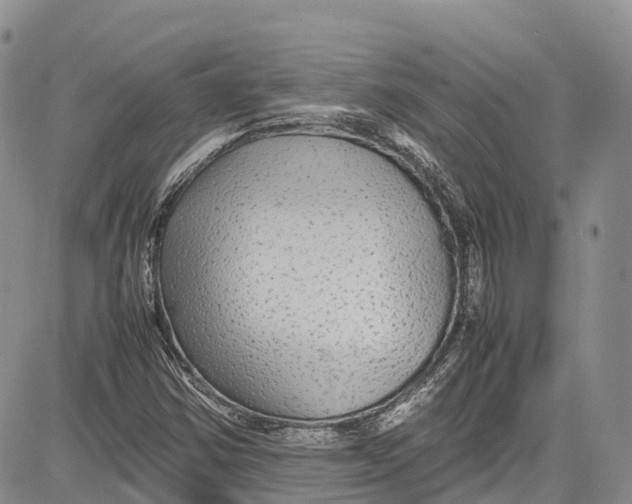 X0000081611354200702051344