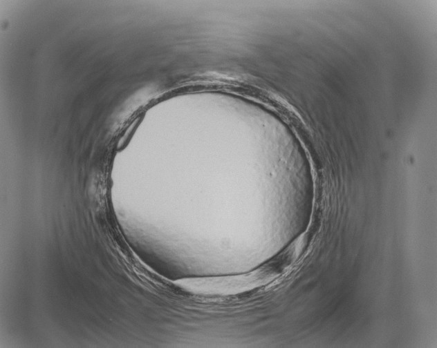 X0000081611355200702051344