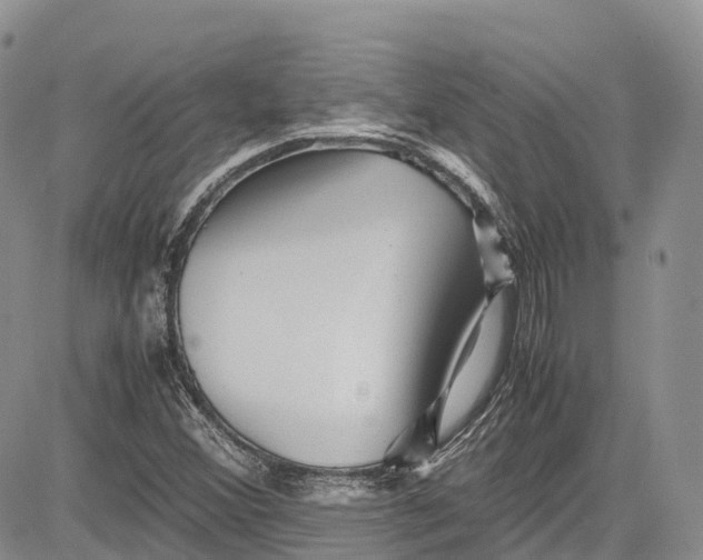 X0000081611356200702051344