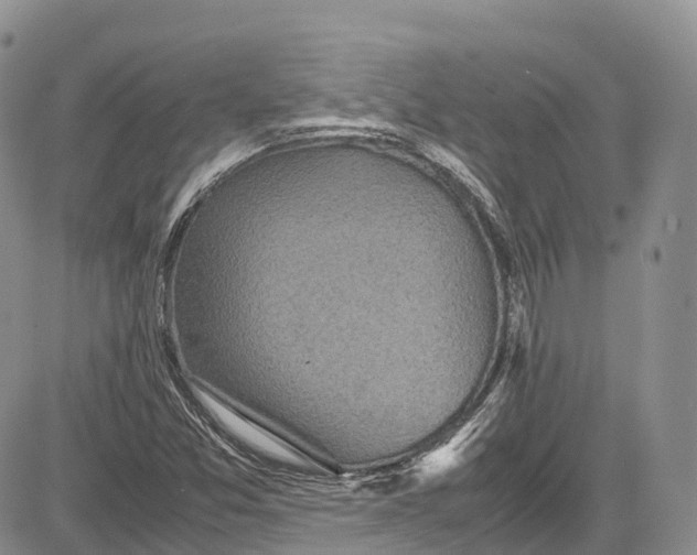 X0000081611357200702051344