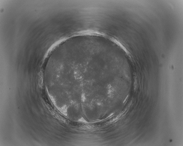 X0000081611358200702051344