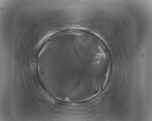 X0000081611359200702051344