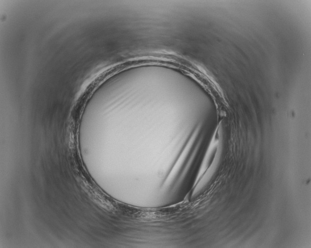 X0000081611360200702051344