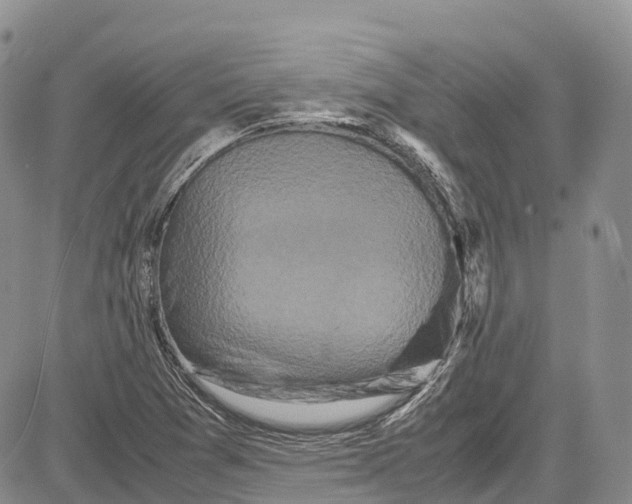 X0000081611361200702051344