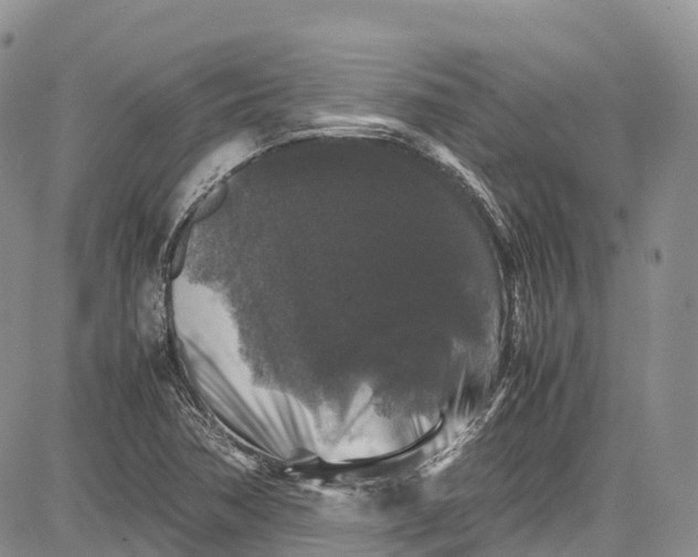 X0000081611362200702051344