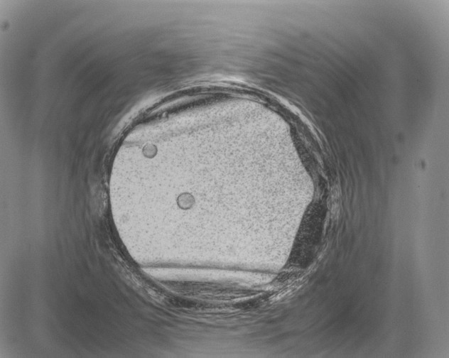 X0000081611363200702051344