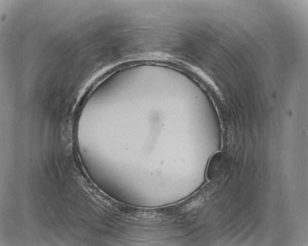 X0000081611364200702051344