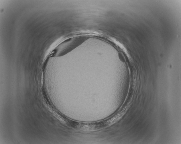 X0000081611365200702051344