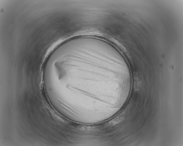 X0000081611366200702051344