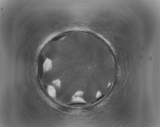 X0000081611367200702051344