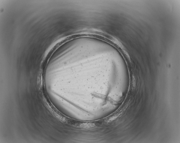 X0000081611368200702051344