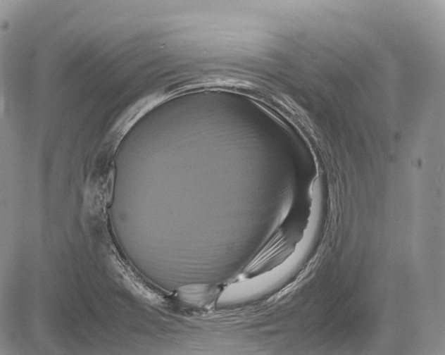 X0000081611369200702051344