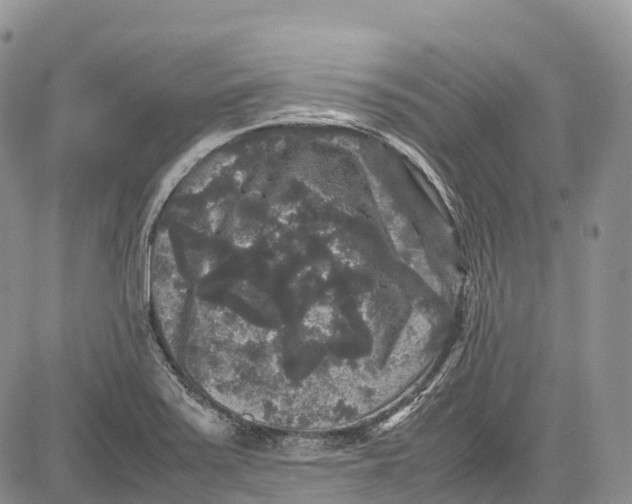 X0000081611371200702051343