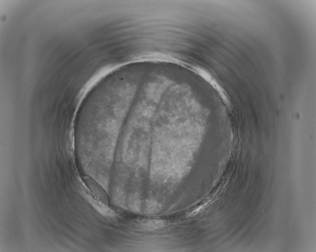 X0000081611372200702051343