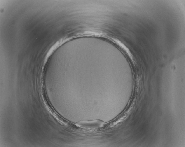 X0000081611373200702051343