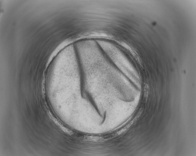 X0000081611374200702051343