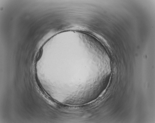 X0000081611375200702051343