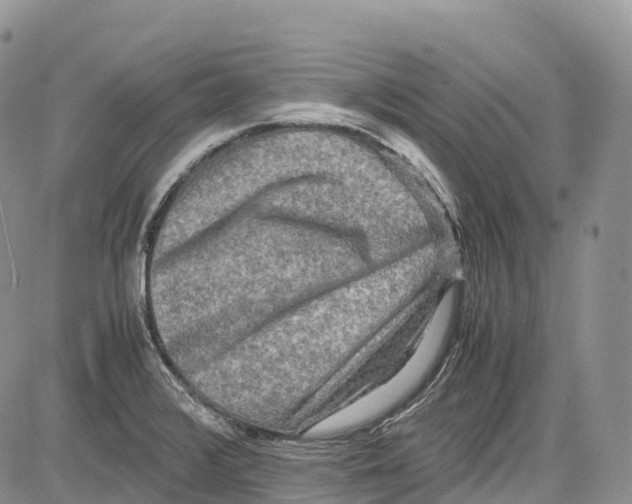 X0000081611376200702051343