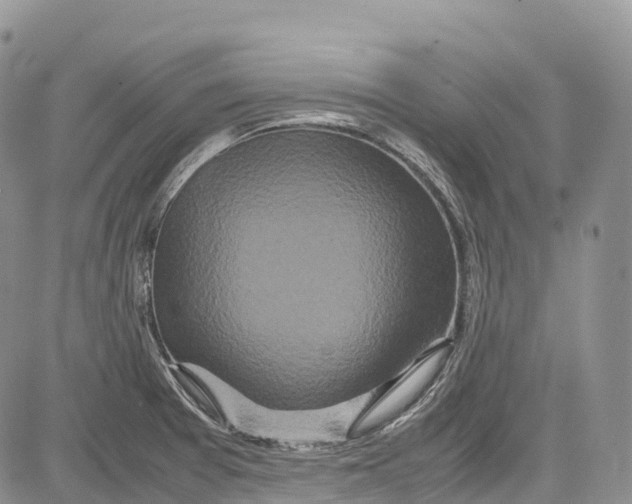 X0000081611377200702051343