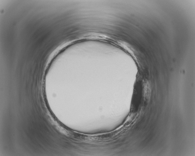 X0000081611379200702051343