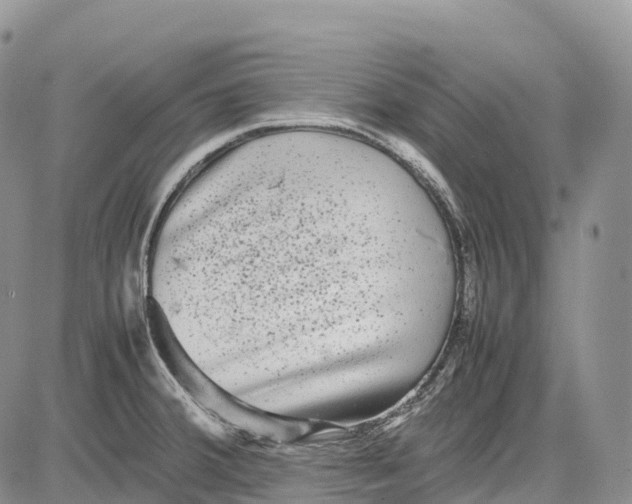 X0000081611380200702051343