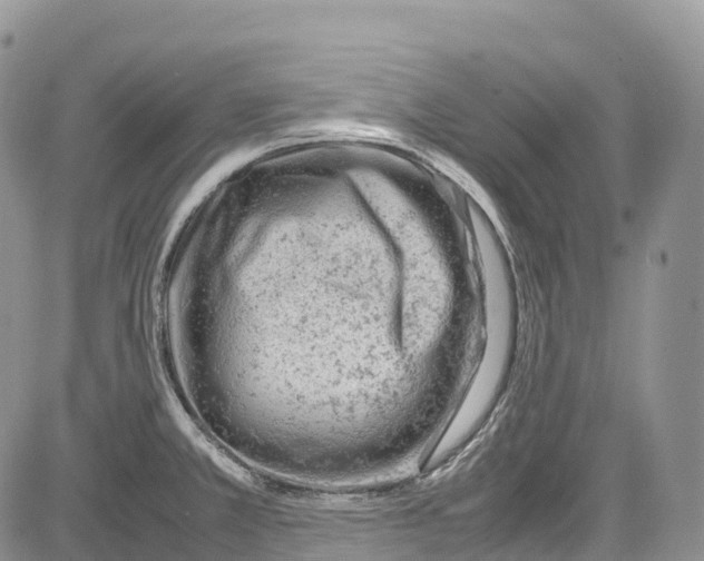 X0000081611381200702051343