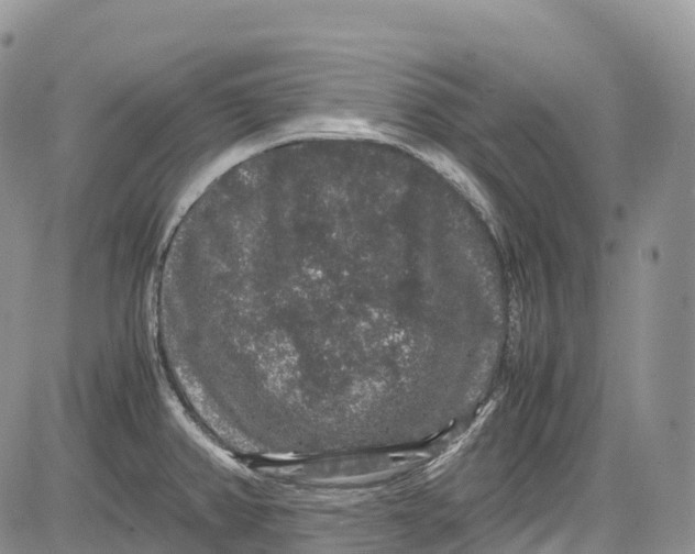 X0000081611382200702051343