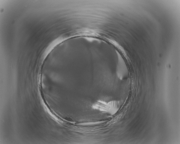 X0000081611383200702051343